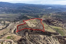 Property 46467 photo 5