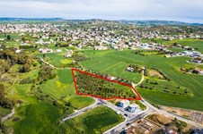 Property 46472 photo 4