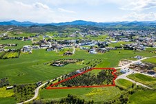 Property 46472 photo 3