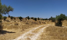 Land 11706 m² in Nicosia