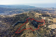 Property 46502 photo 1