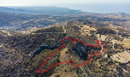 Land 41472 m² in Paphos