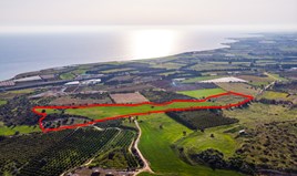 Land 58864 m² in Paphos