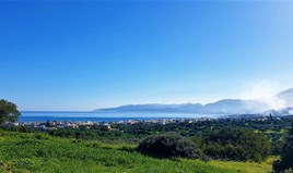 Land 4750 m² in Crete