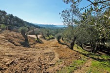Property 46702 photo 14