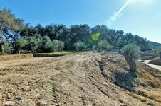 Property 46702 photo 16