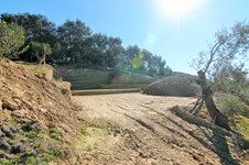 Property 46702 photo 17
