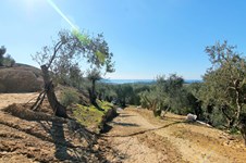 Property 46702 photo 18