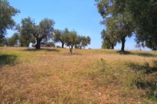 Property 46721 photo 3