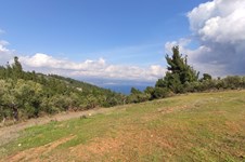 Property 46721 photo 12