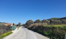 Terrain 8000 m² en Crète