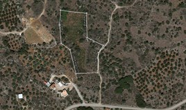 Парцел 8000 m² на Крит