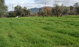 Arsa 3723 m² Batı Peloponez’te