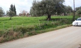 Land 3723 m² in Western Peloponnese