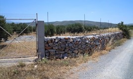 Земельна ділянка 4100 m² на Криті