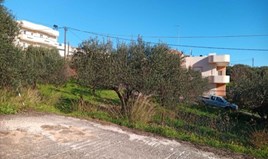 Terrain 309 m² en Crète
