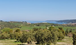 Γη 6400 μ² στην Κασσάνδρα