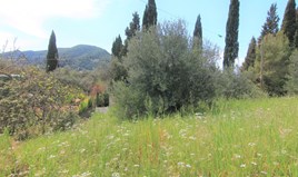 Land 1206 m² auf Korfu