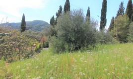Land 1206 m² in Corfu
