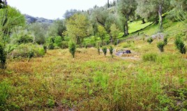 Land 14460 m² auf Korfu