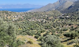 Land 8866 m² auf Kreta
