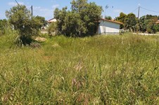 Property 47243 photo 1