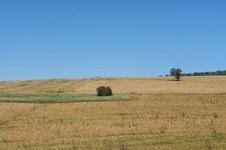 Property 47270 photo 1