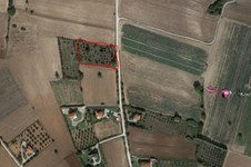Property 47295 photo 1