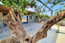 Property 47330 photo 1