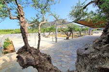 Property 47330 photo 16