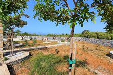 Property 47330 photo 17