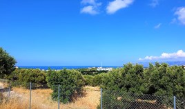 Terrain 3300 m² en Crète