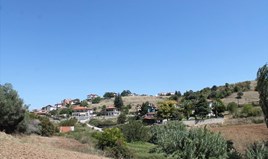 სასტუმრო 1441 m² კასანდრაზე (ქალკიდიკი)