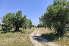 Property 47404 photo 1