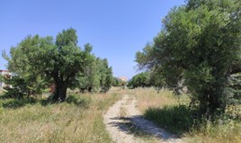 Zemljište na Kasandri (Halkidiki)