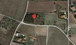 Zemljište 7700 m² u predgrađu Soluna