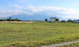 სასტუმრო 2905 m² ოლიმპიურ რივიერაზე