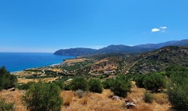 Парцел 21000 m² на Крит