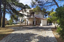 Property 47626 photo 1
