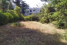 Property 47626 photo 10