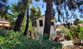 Einfamilienhaus 170 m² auf Sithonia (Chalkidiki)