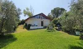 Μονοκατοικία 65 μ² στην Κασσάνδρα