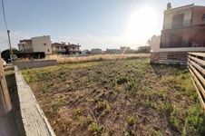 Property 47769 photo 4