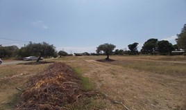 Land 5000 m² in Sithonia, Chalkidiki