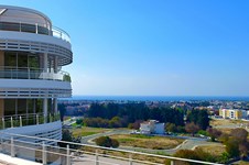 Property 47895 photo 2