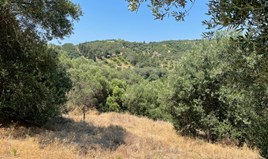 հողատարածք 5200 m² Կորֆու կղզում
