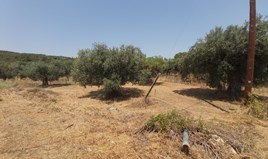 Land 337 m² auf Sithonia (Chalkidiki)