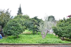 Property 48343 photo 18