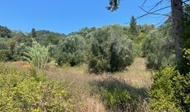 Land 11450 m² auf Korfu