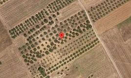 հողատարածք 5500 m² Խալկիդիկի-Կասսանդրայում